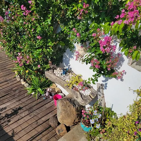 شقة Duplexe De 1 A 4 Privees Dans Maison